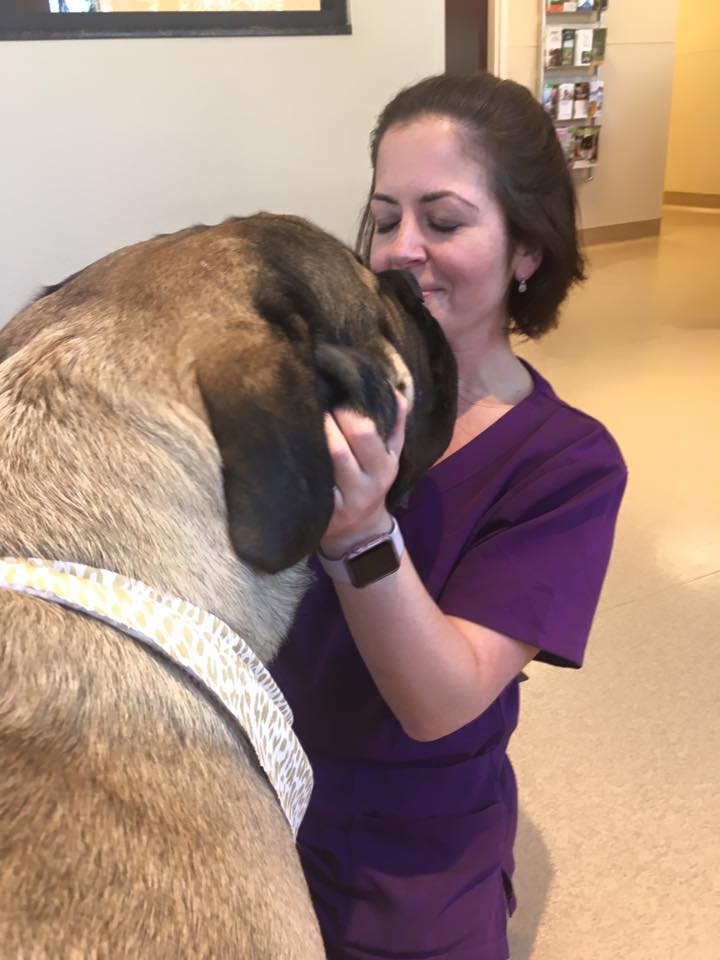 Archer Veterinary Clinic Best4Pets