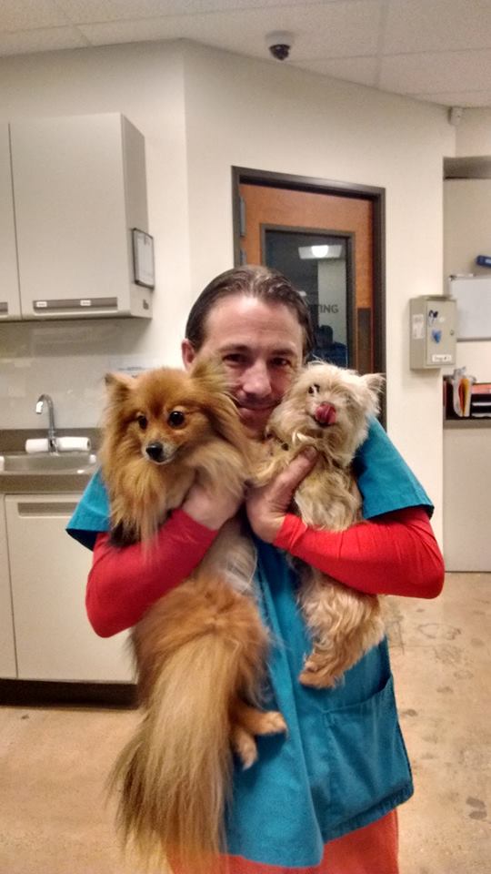 Austin Vet Hospital Best4Pets