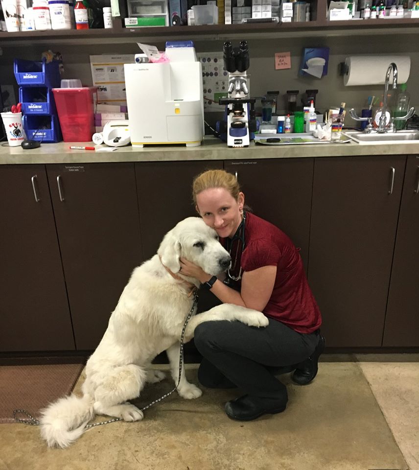 Austin Urban Veterinary Center Best4Pets
