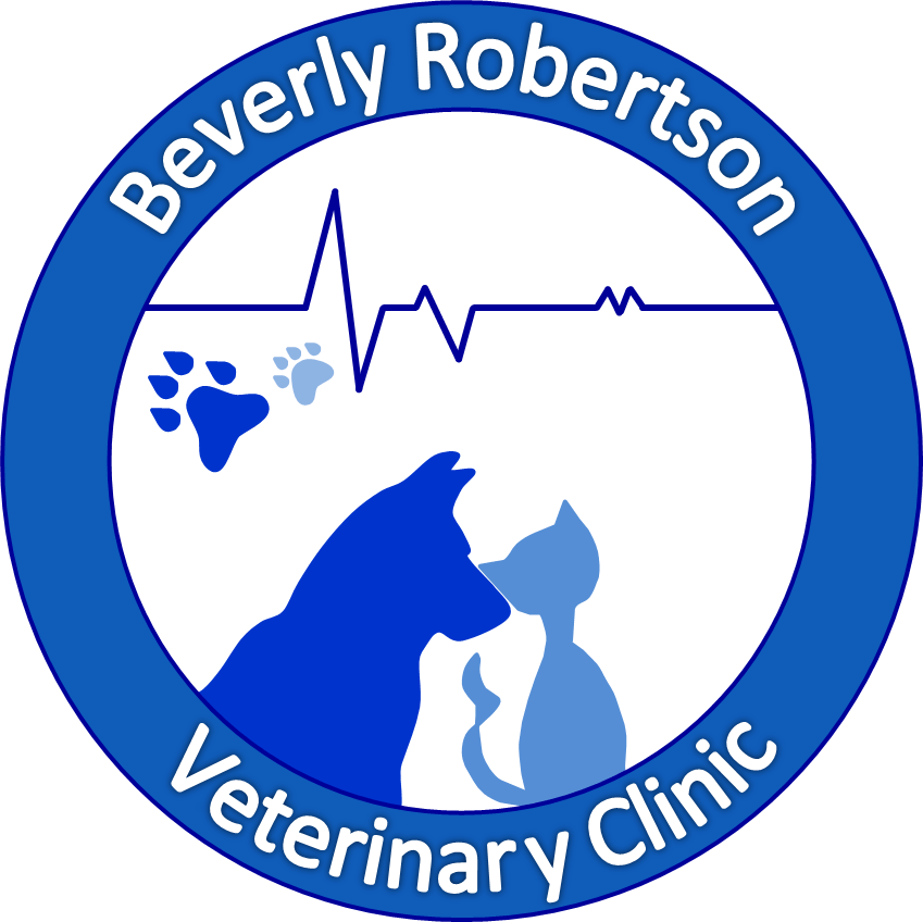 Best Veterinarians Los Angeles Best4Pets