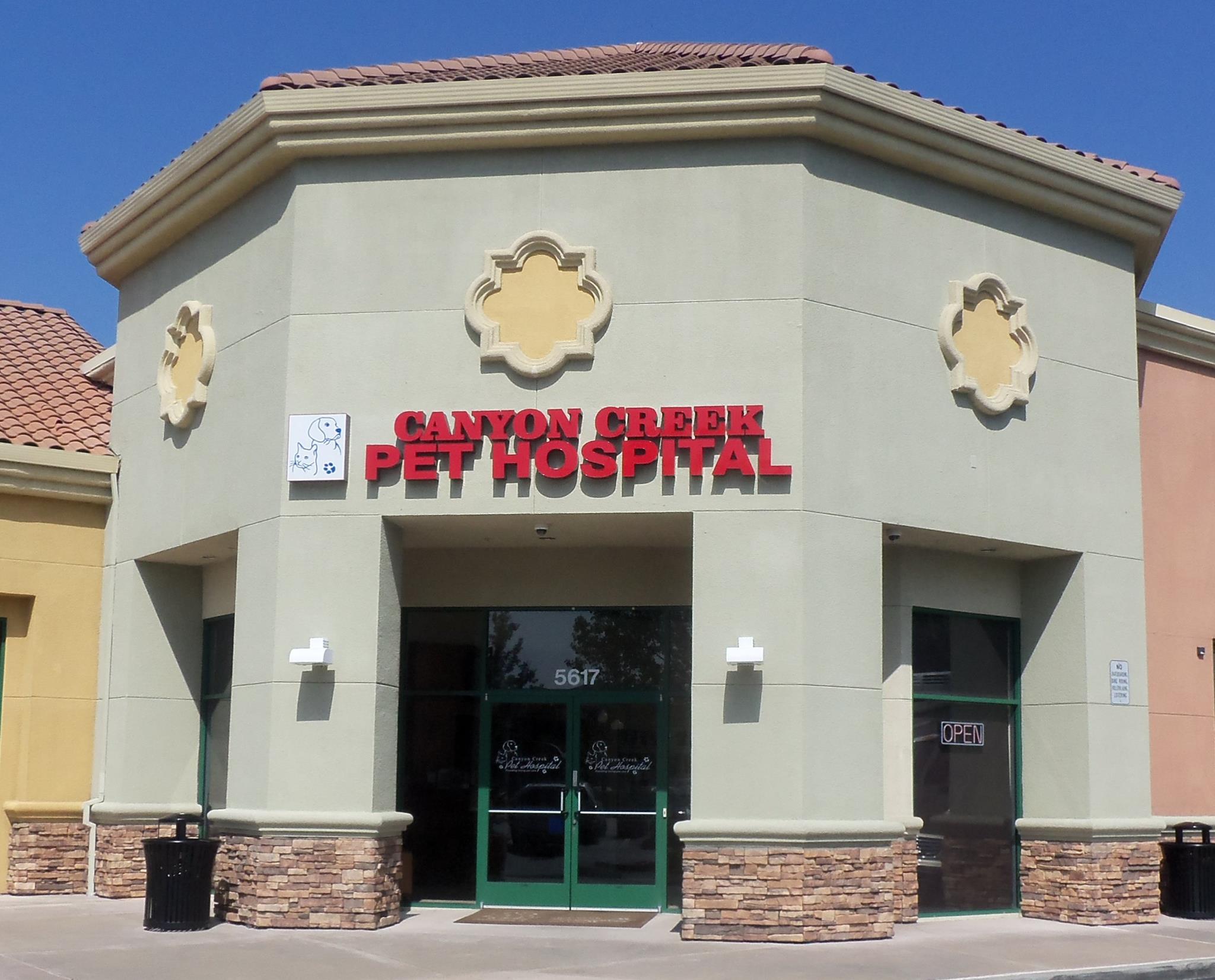 Best Veterinarians San Jose Best4Pets