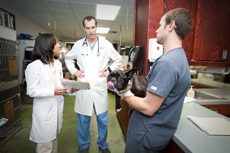 Central Texas Veterinary Specialty Hospital Best4Pets