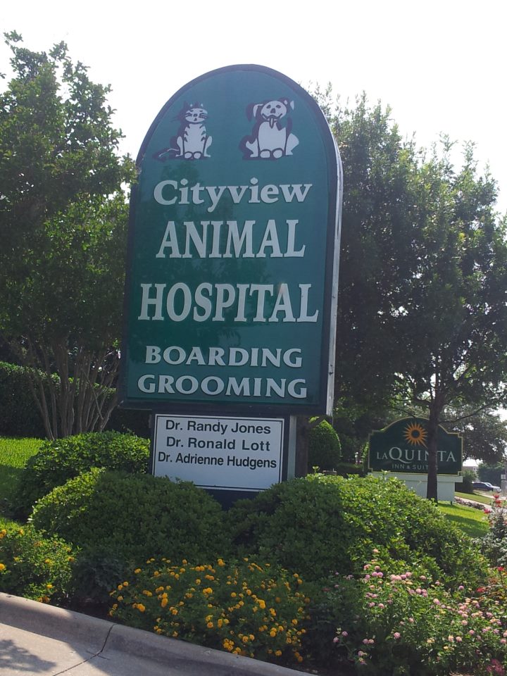 Best Veterinarians Fort Worth Best4Pets