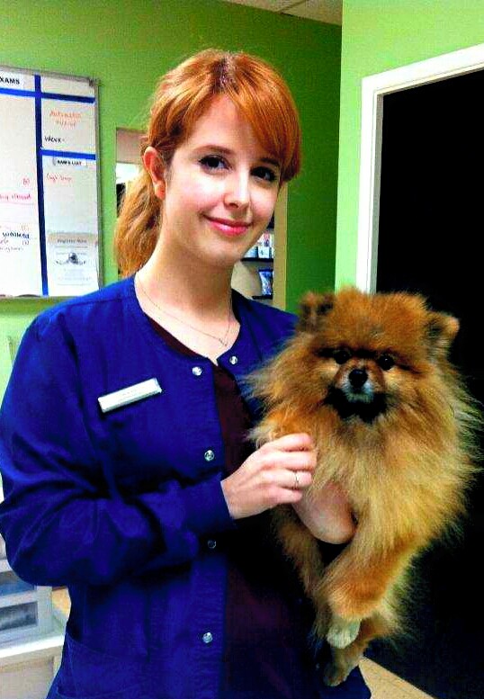 Affordable Pet Care Best4Pets