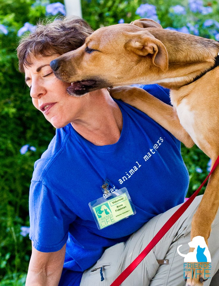 Friends for Life Best4Pets