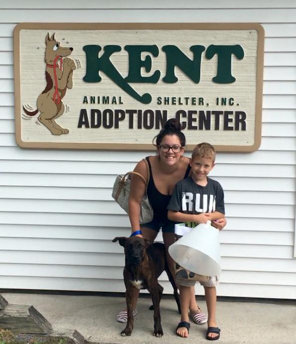 Kent Animal Shelter Best4Pets