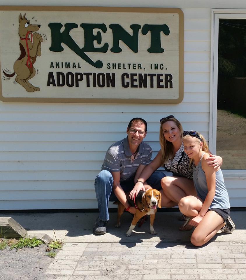 Kent Animal Shelter Best4Pets
