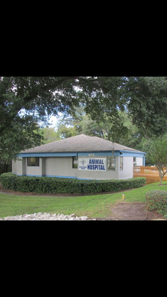 Monument Road Animal Hospital Best4Pets