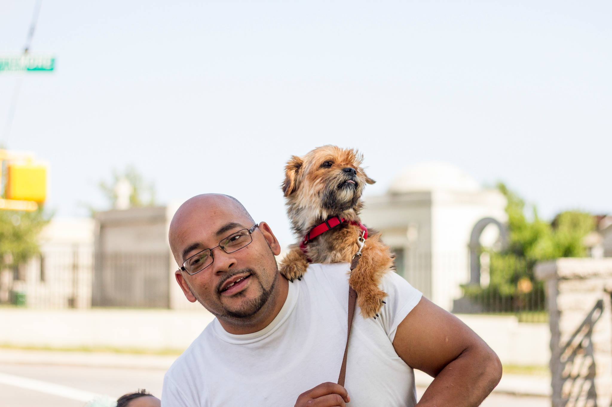 NYC's Top Dog & New Beginning Animal Rescue Best4Pets