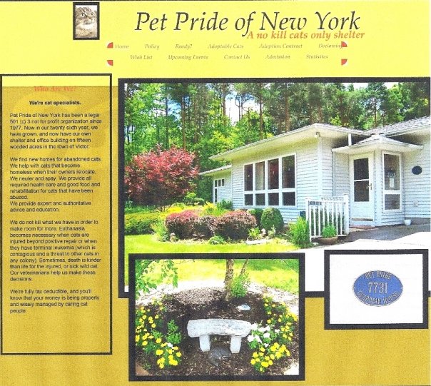 Best Pet Rescue New York Best4Pets
