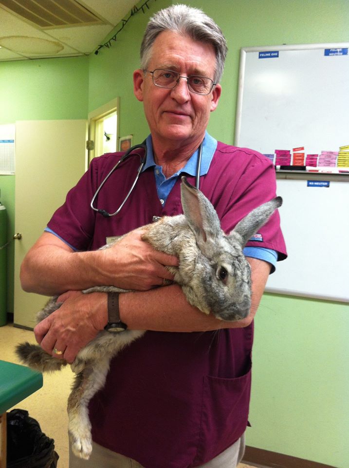 Affordable Pet Care Best4Pets