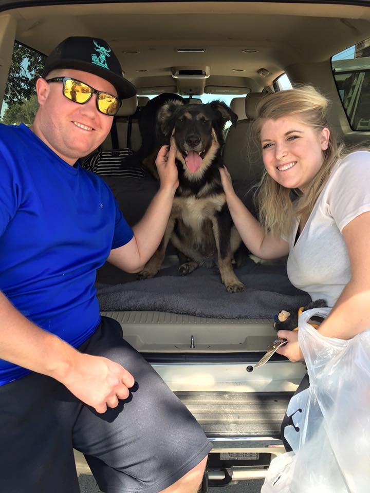 Stonecliffe Animal Rescue Best4Pets