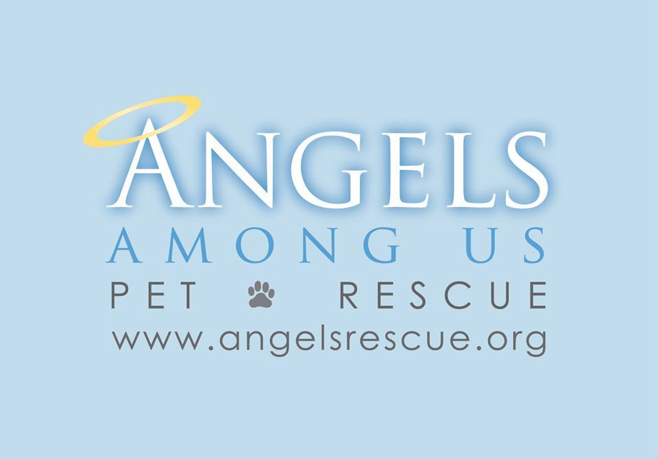 Best Pet Rescue Atlanta Best4Pets
