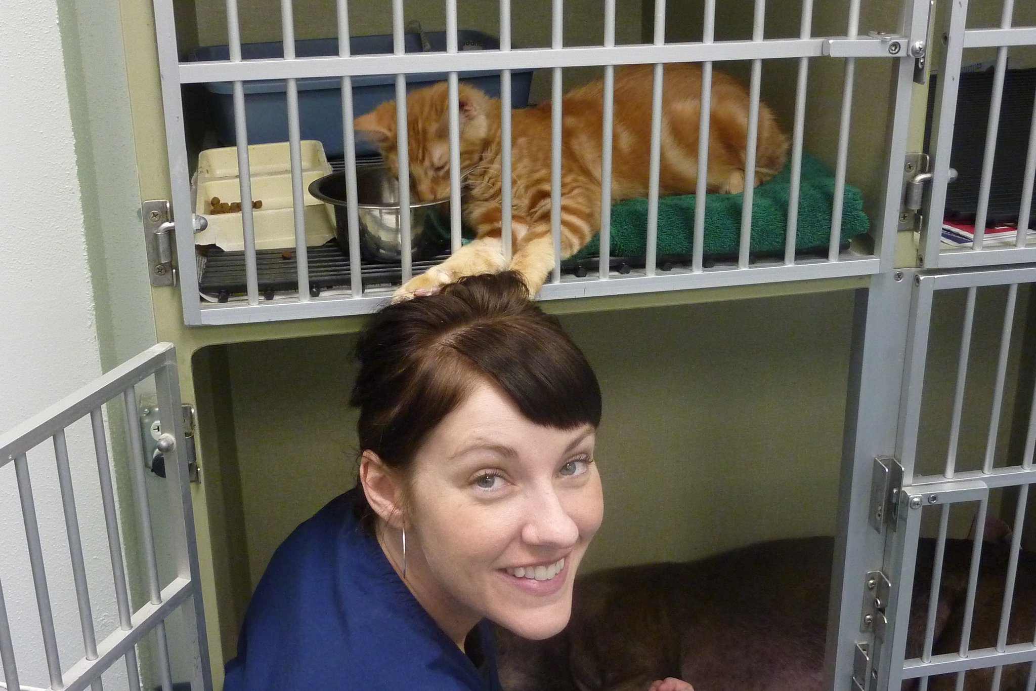 Arbor Animal Clinic Best4Pets