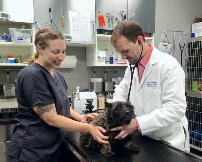 Heart of Brooklyn Veterinary Hospital Best4Pets