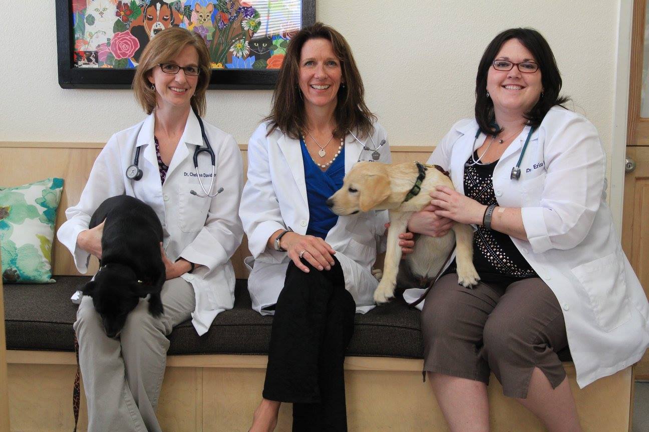 Pet's Friends Animal Clinic Best4Pets