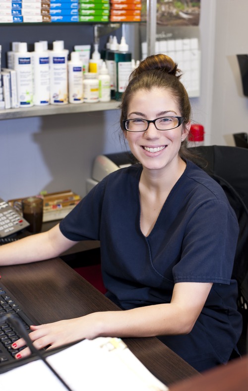 Sunset Animal Clinic Best4Pets