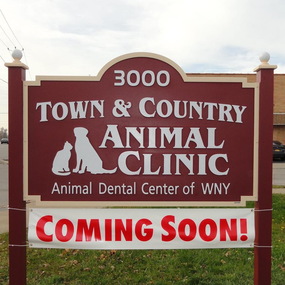 Town & Country Animal Clinic Best4Pets