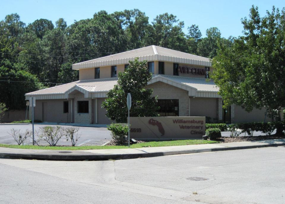 Best Veterinarians Orlando Best4Pets