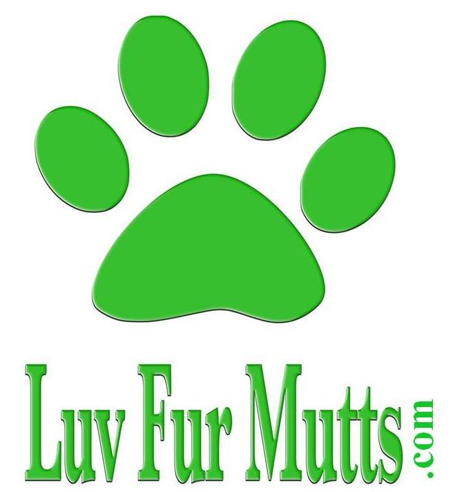 Cincinnati Pet Rescues Best Animal Shelters Best4Pets