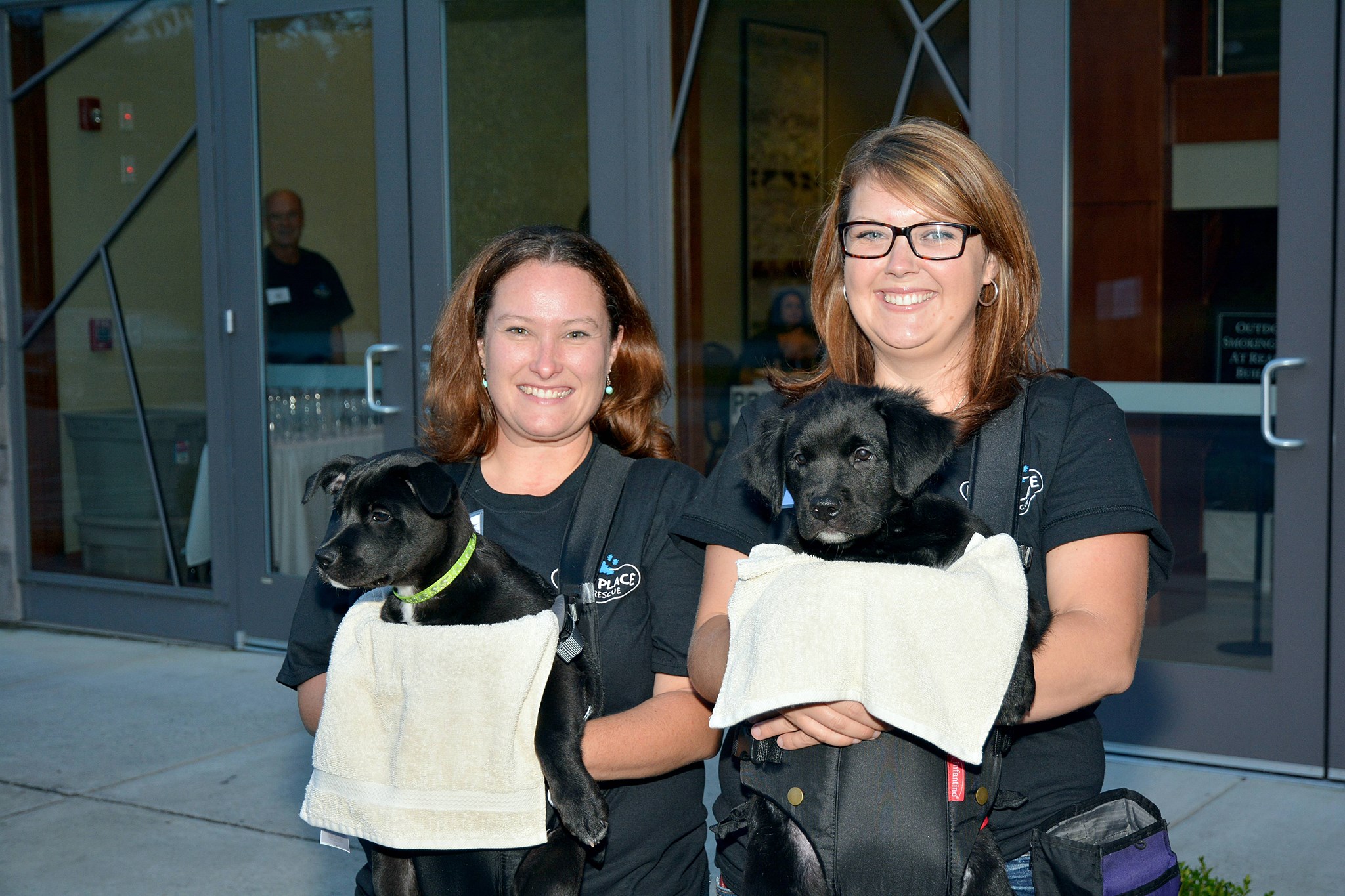 Paws Place Dog Rescue Best4Pets