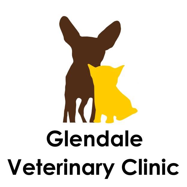 Glendale Veterinary Clinic Best4Pets