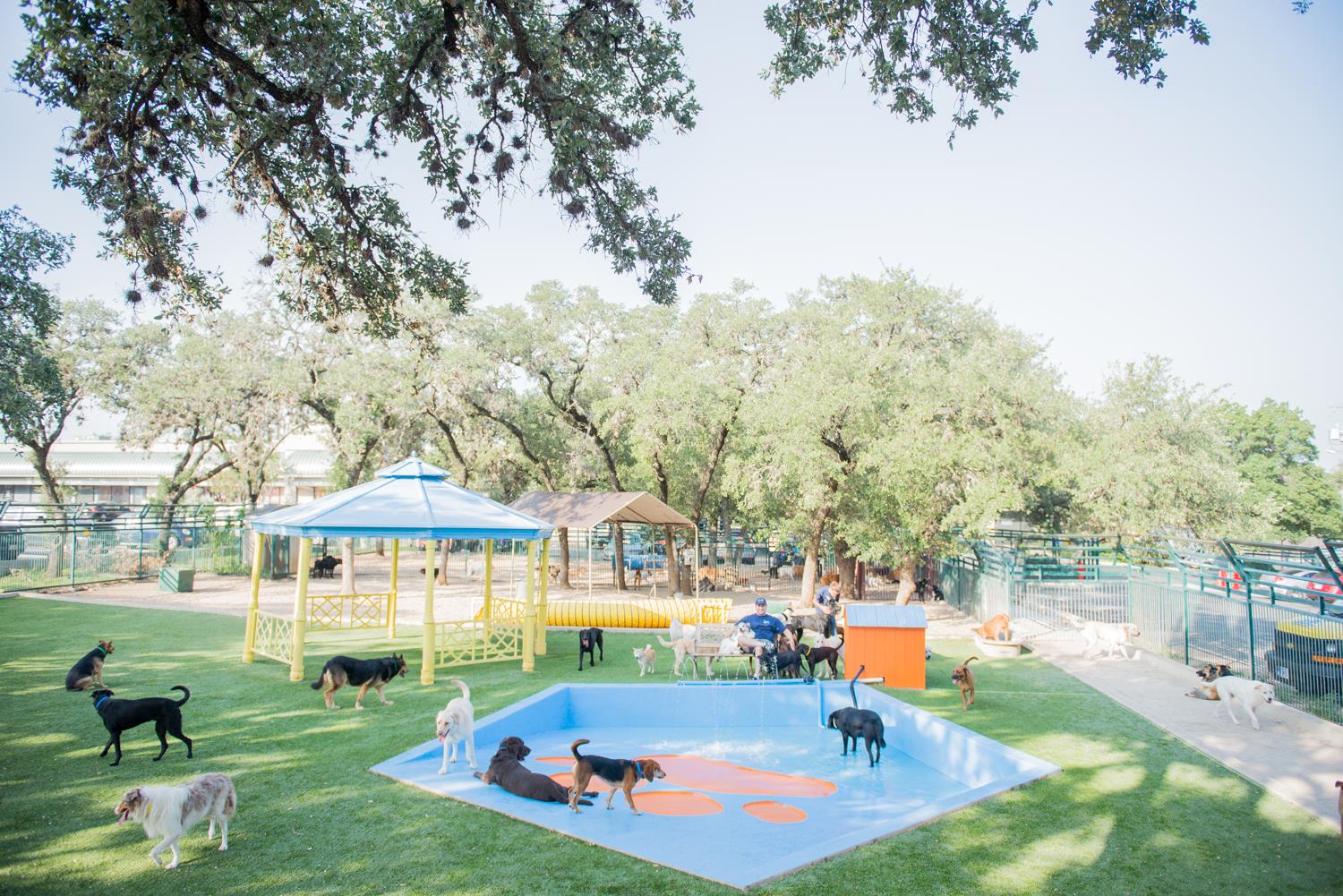 Lucy's Doggy Day Care and Spa Best4Pets