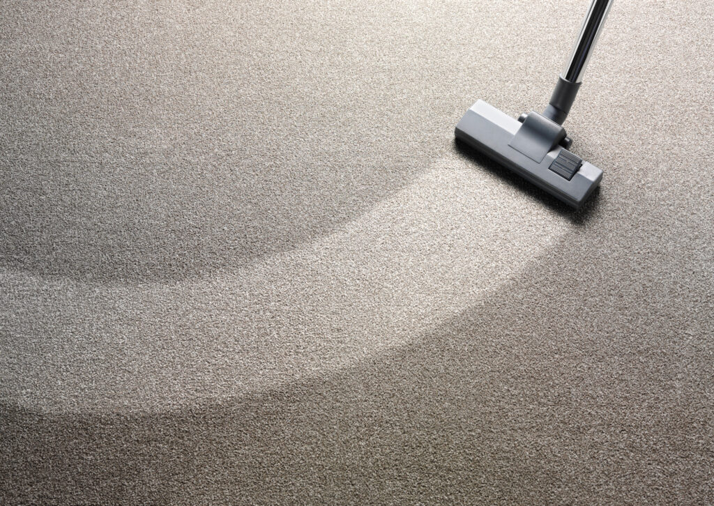 Steam Cleaner vs. Carpet Cleaner What Are the Differences? Best Advice Zone