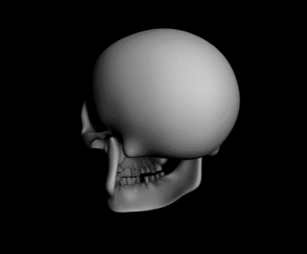 20 Great Skull Animated Gifs at Best Animations