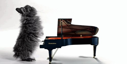 Amazing Piano Animated Gifs Best Animations