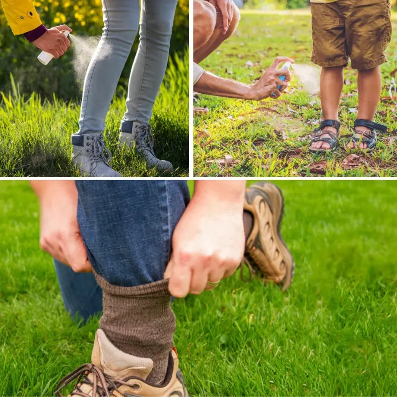 Ticks Unlock a TickFree Haven with trusted solution