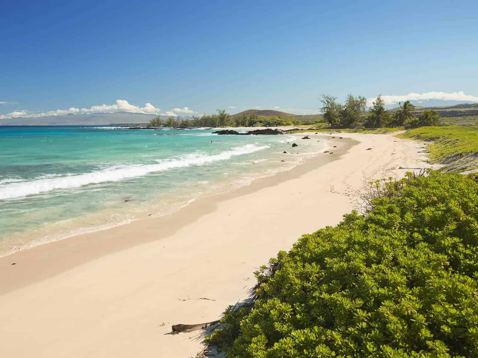 Can You Swim From Island To Island In Hawaii? BestAttractions