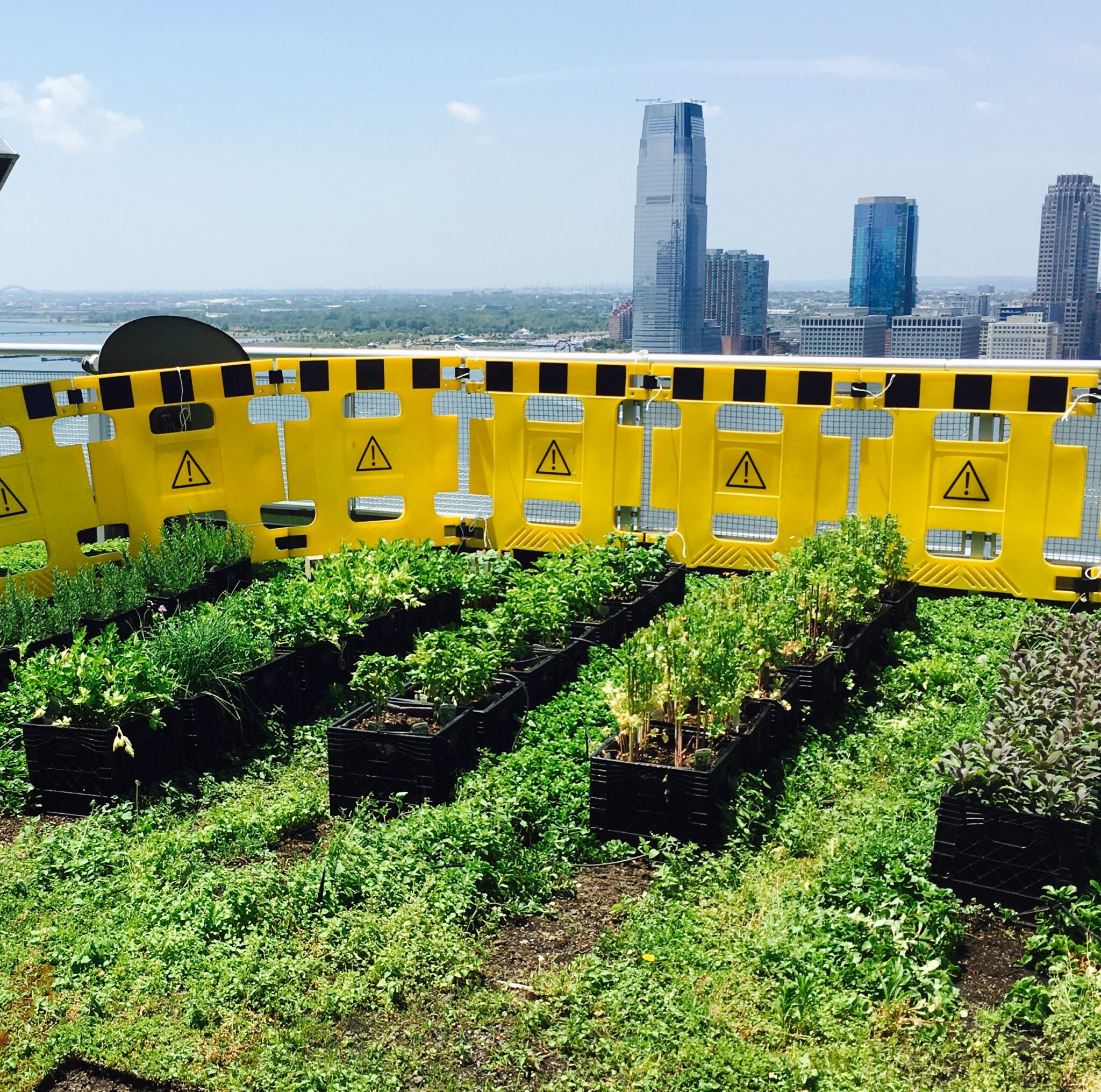 Sustainable Living HighRise Apartments and Bees The Best Bees Company