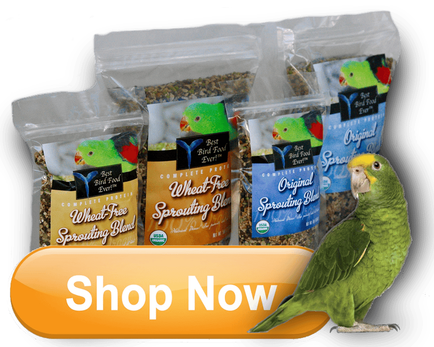 DMG and Birds Best Bird Food Ever!
