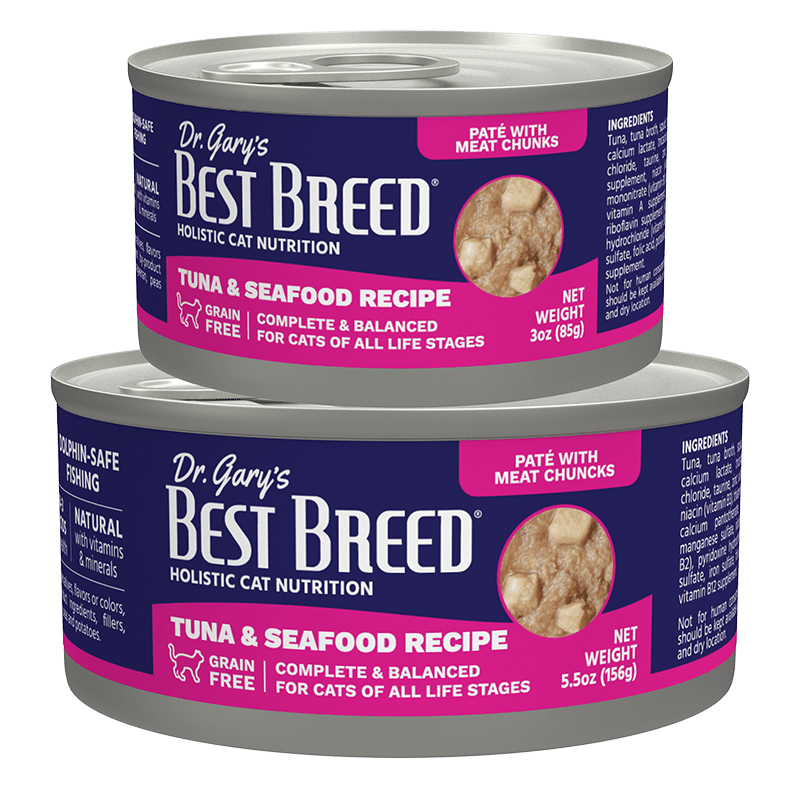 German Dog Recipe Best Breed