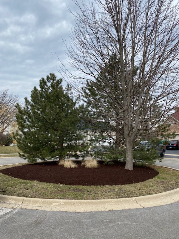 Mulch Best Budget Tree Service