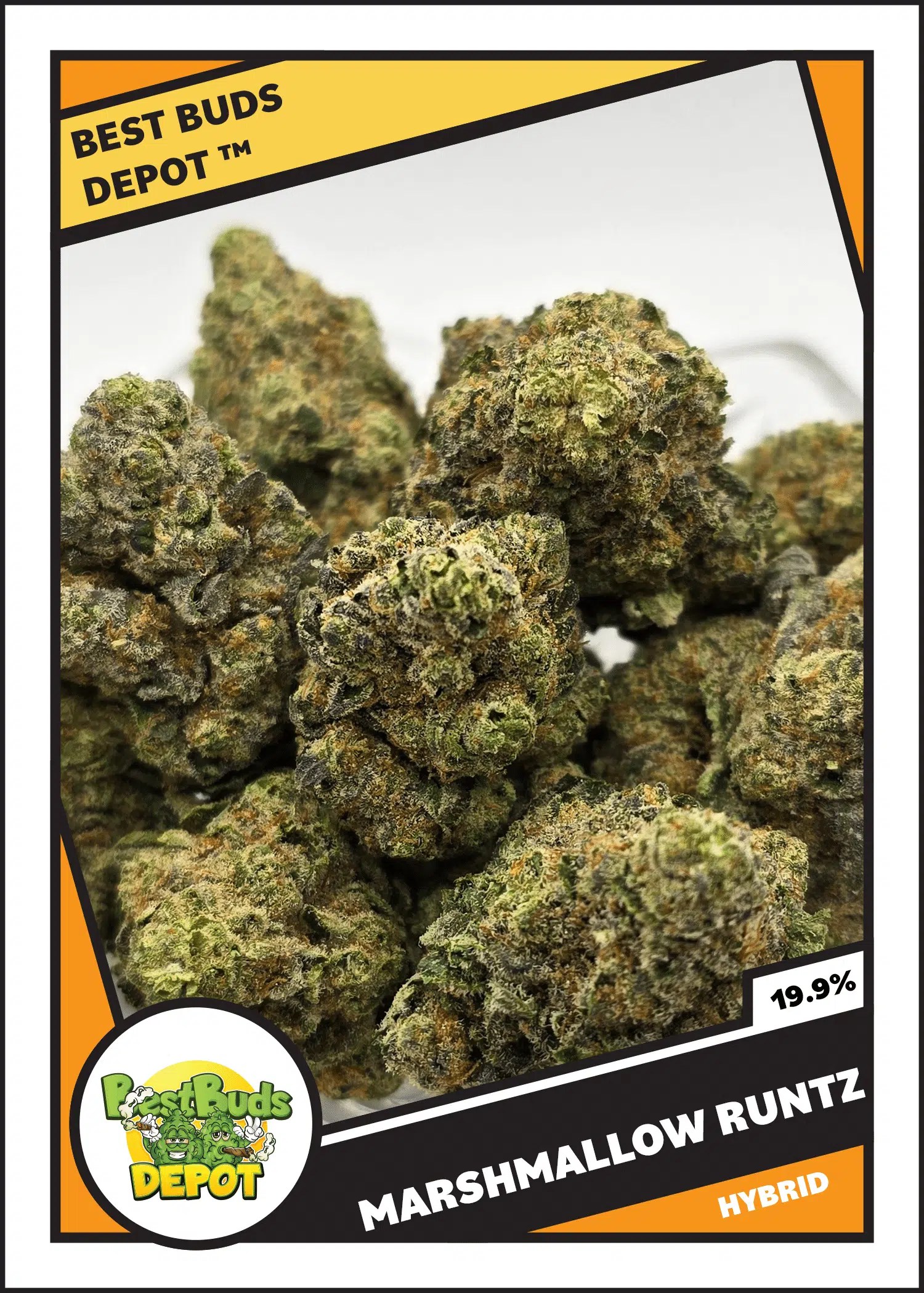 Marshmallow Runtz Best Buds Depot, LLC.
