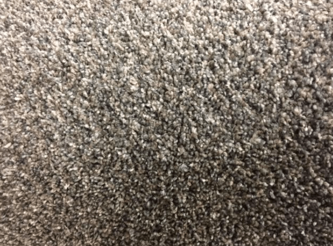 Specials BEST CARPET WAREHOUSE