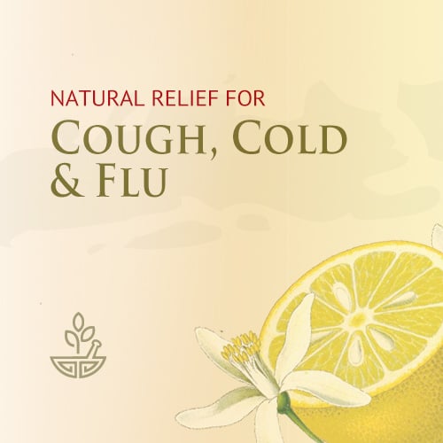 Chinese Herbal Medicines for Cold, Cough & Flu Best Chinese Medicines