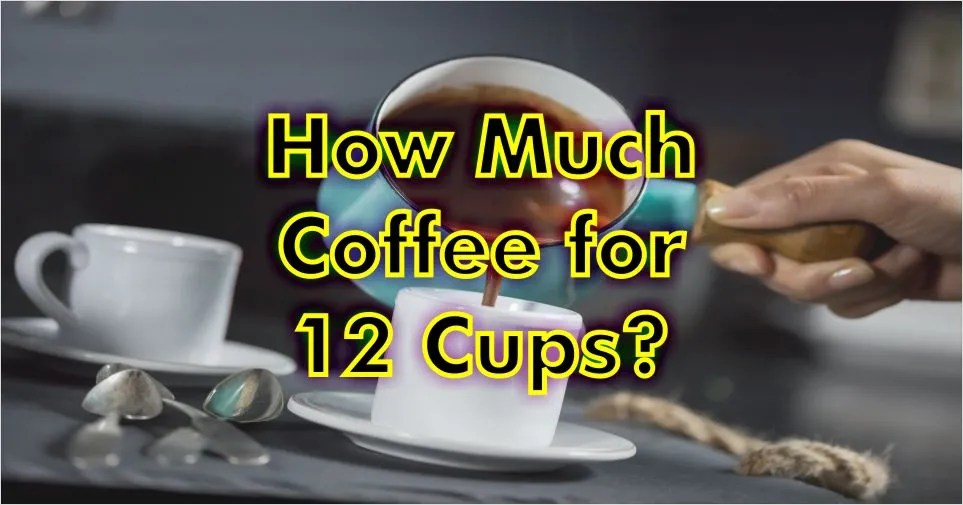How Much Coffee for 12 Cups (Detailed Guide) Best Coffee Sip