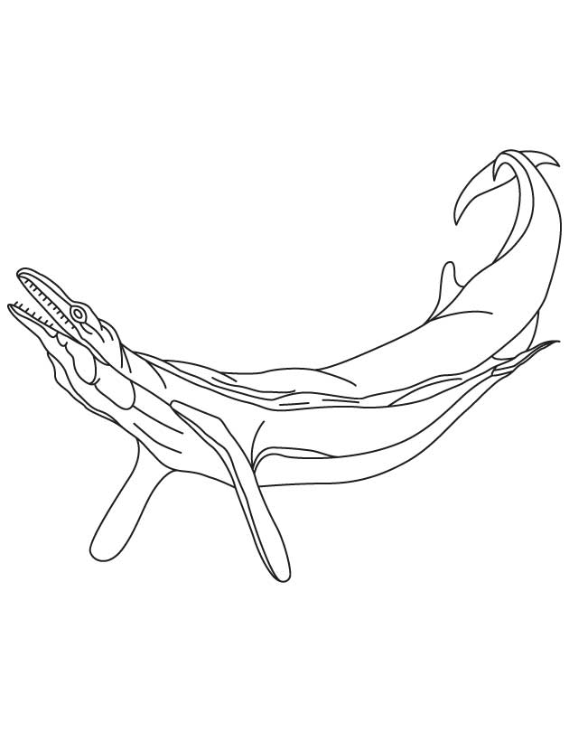 Alabama State Fossil Basilosaurus cetoides Download Free Alabama State Fossil Basilosaurus