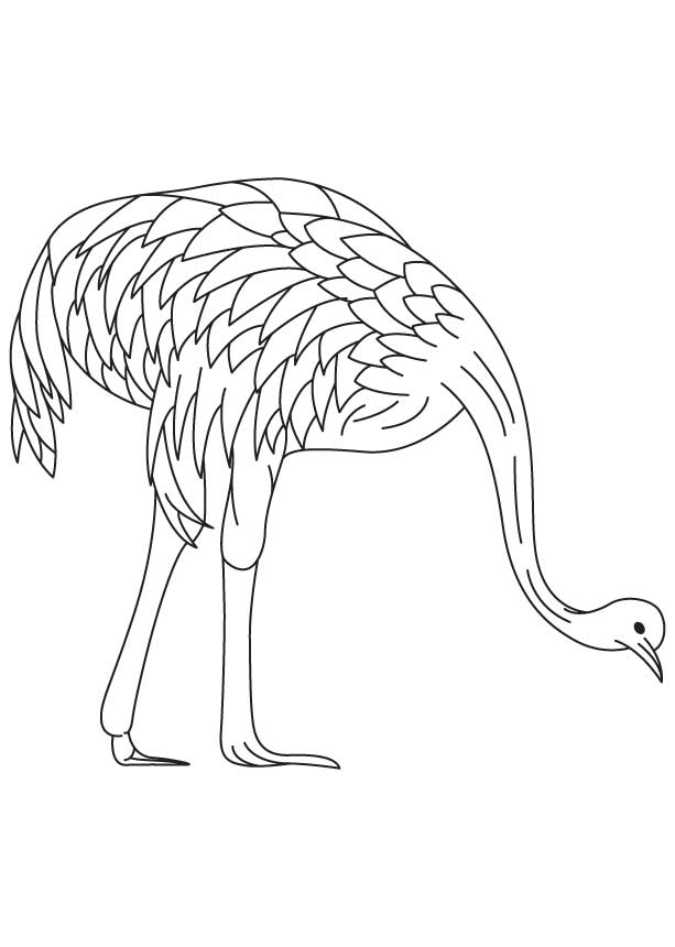 Printable Coloring Pages Of Bikes Australia # Emu Coloring.