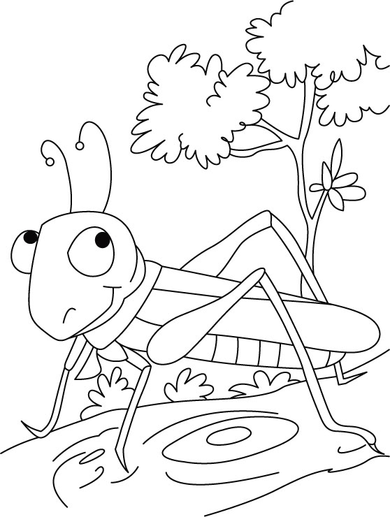 Funny Grasshopper Nature Coloring Pages For Kids Printable Free