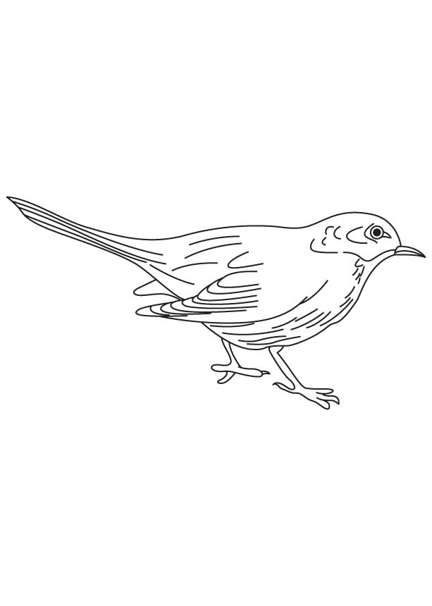 Small blackbird coloring page Download Free Small