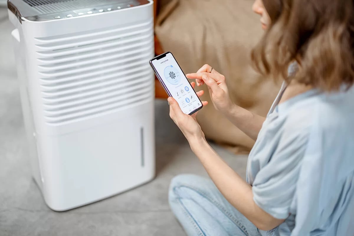 How Loud Are Dehumidifiers in 2024? A Consumers Guide