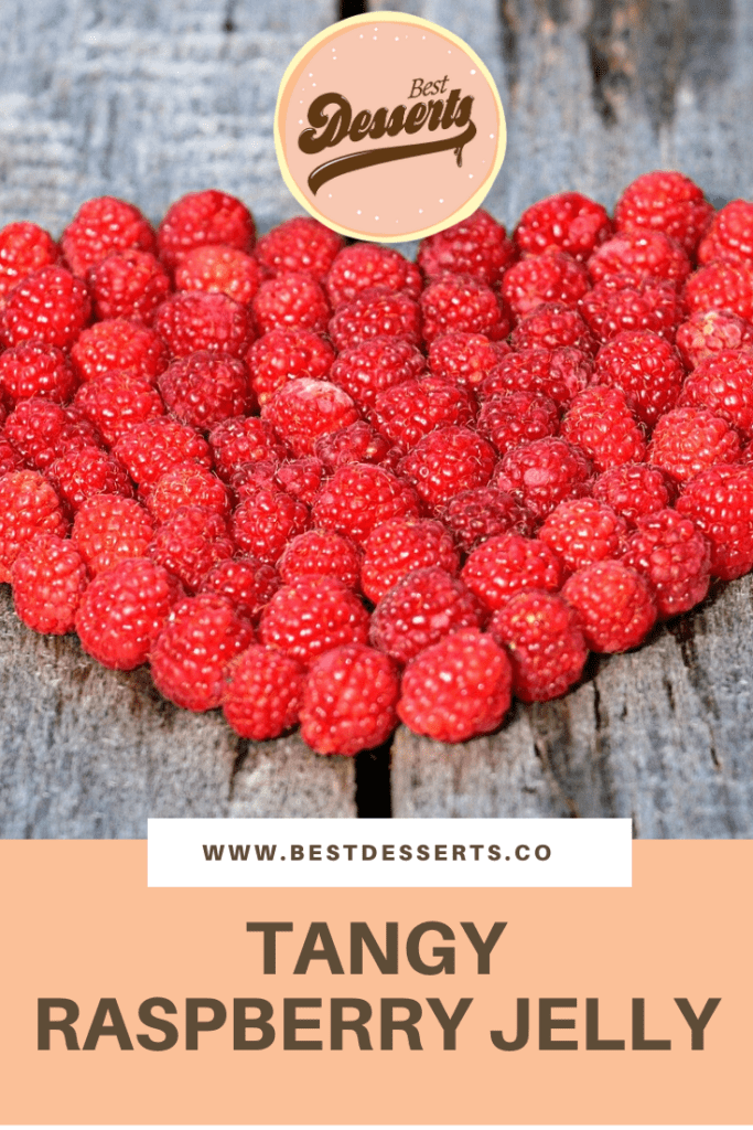 Tangy Raspberry Jelly BestDesserts