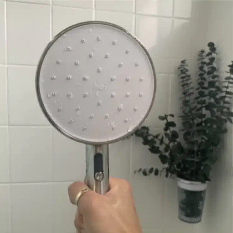 Top 5 Best Smart Shower Heads Best Digs