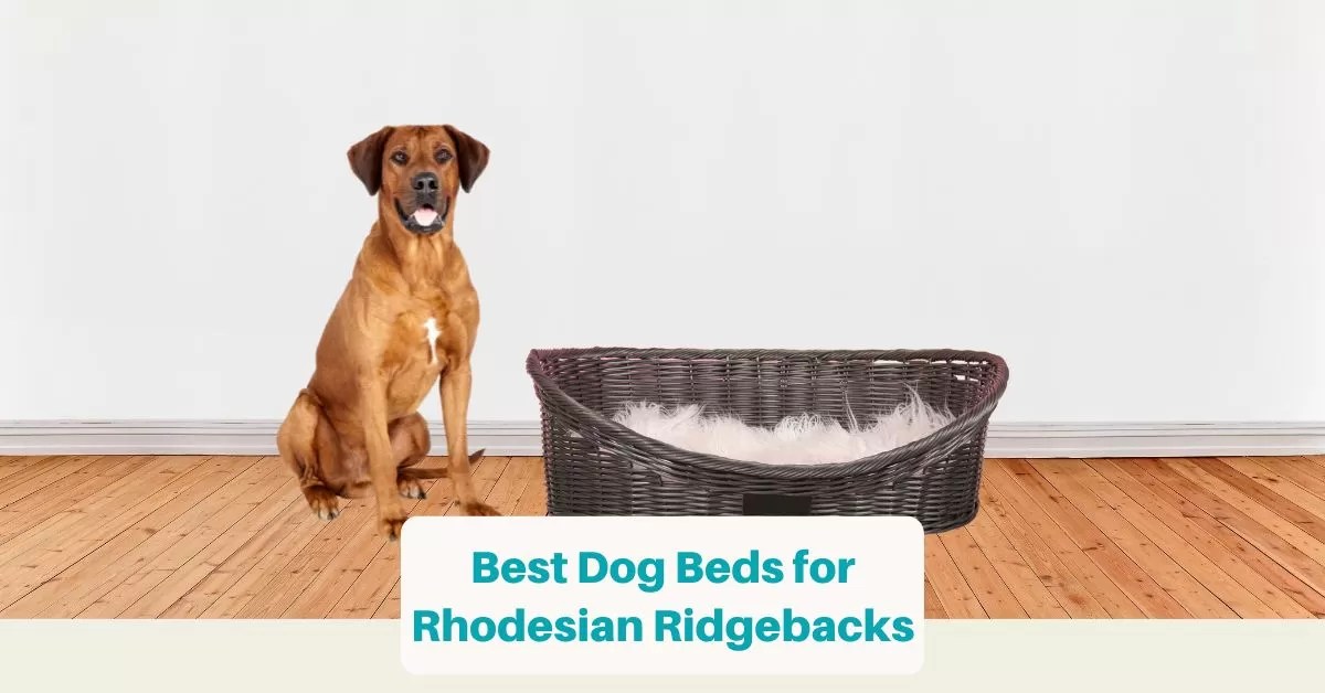 7 Best Dog Beds for Rhodesian Ridgebacks (2023) Quick Guide Best Dog Resources