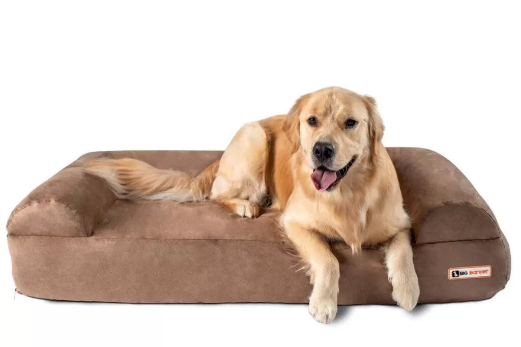 Casper Dog Bed vs Big Barker Ultimate Comparison (2023) Best Dog