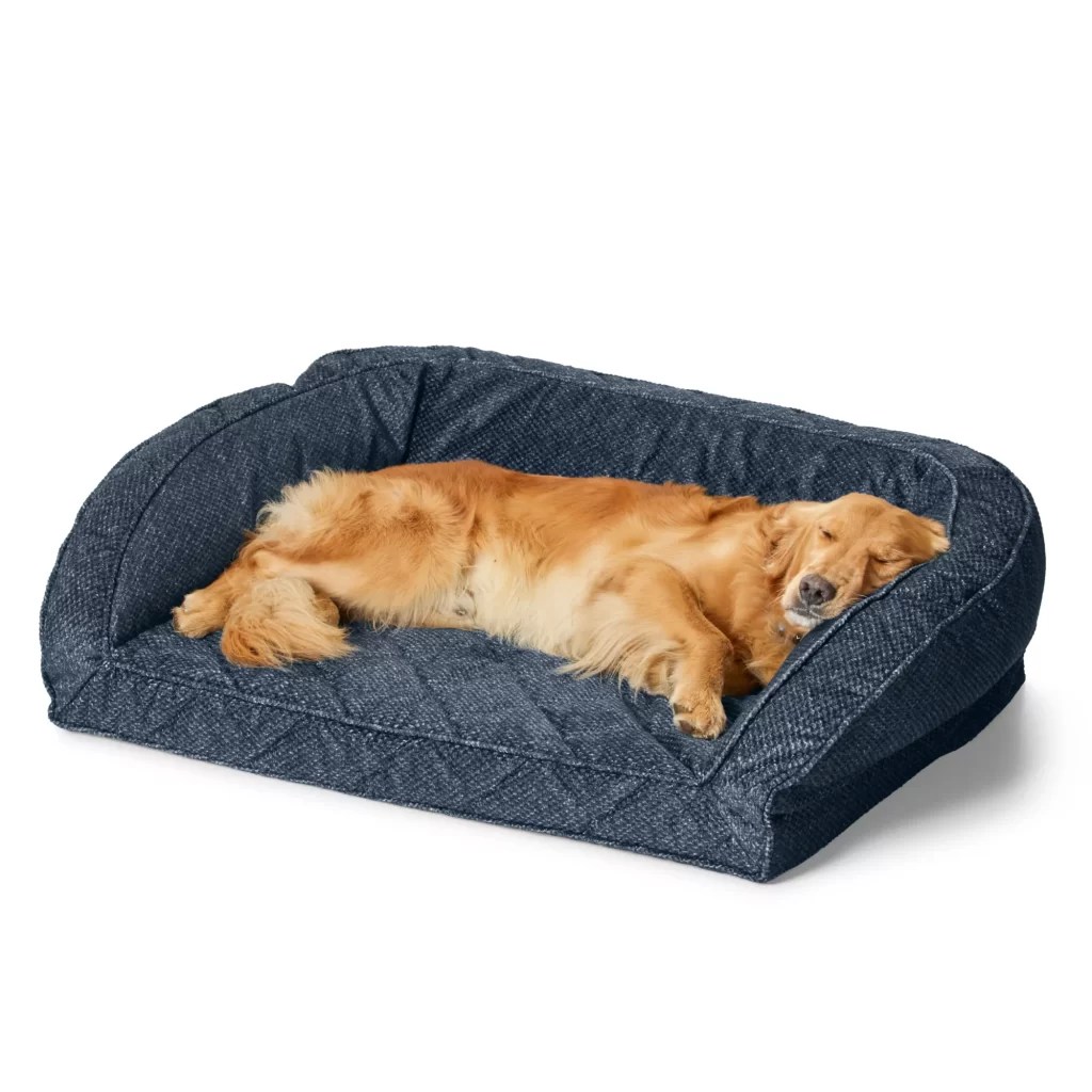 10 Best Beds for French Bulldogs (with Size Guide) Best Dog Resources